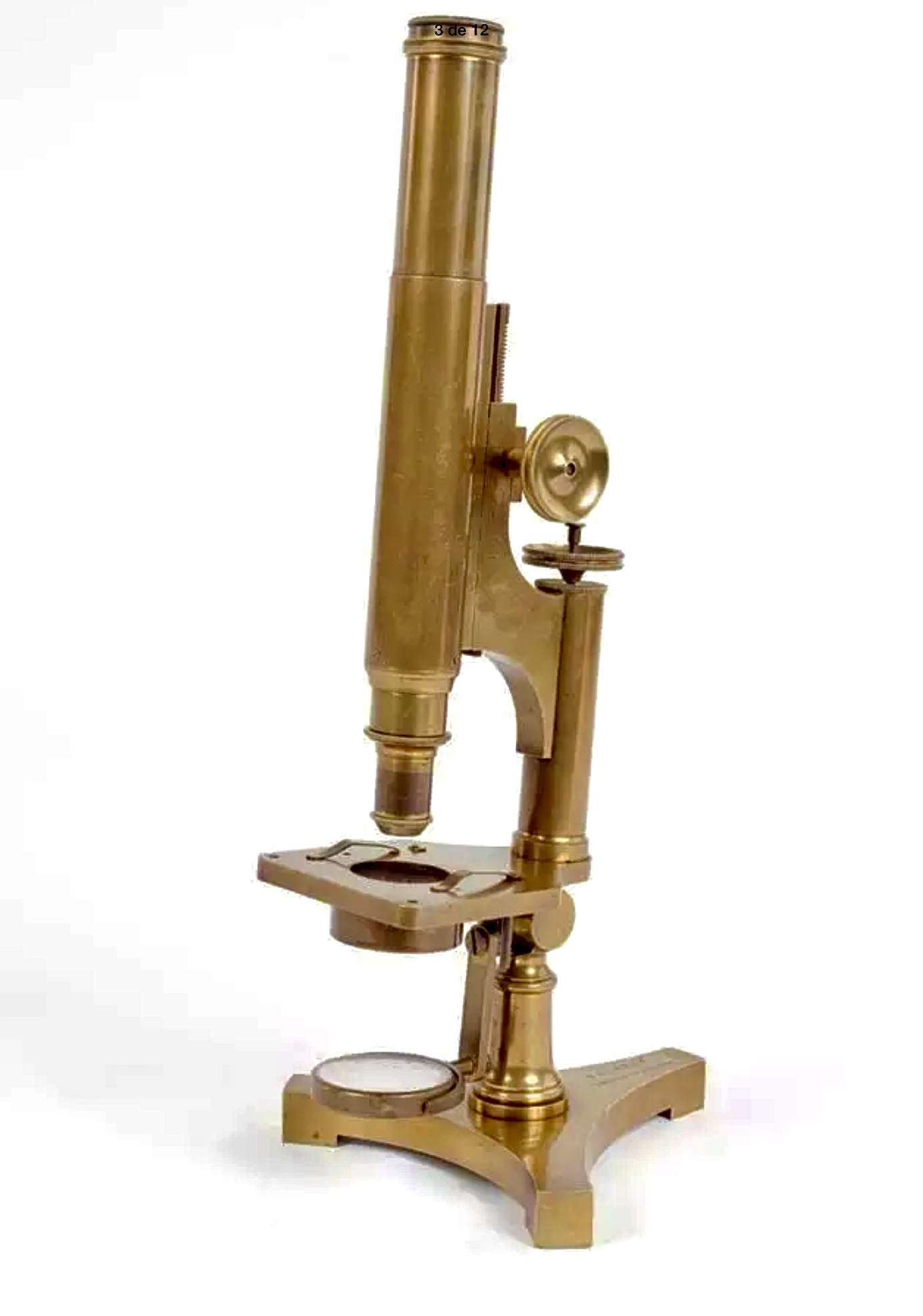 10. Microscopio monocular Beck & Beck. c.1872.