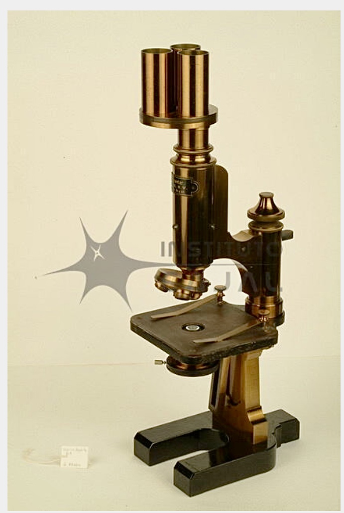 Microscopio monocular. E. Messter. Berlin. c.1890.
