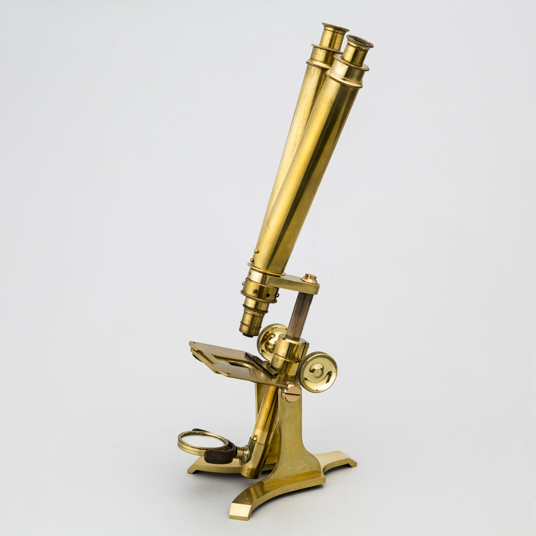 Gran Microscopio binocular Watson & sons