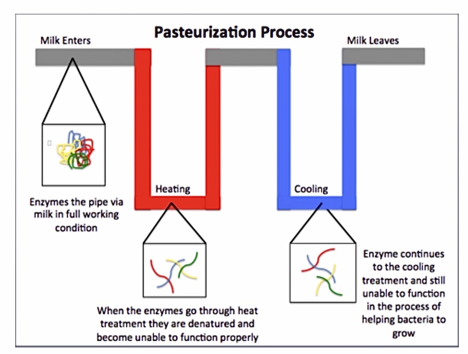 Proceso de pasteurización
