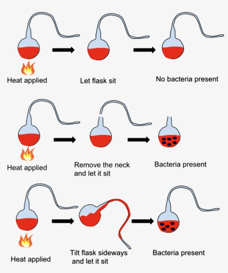 Teoría de Pasteur