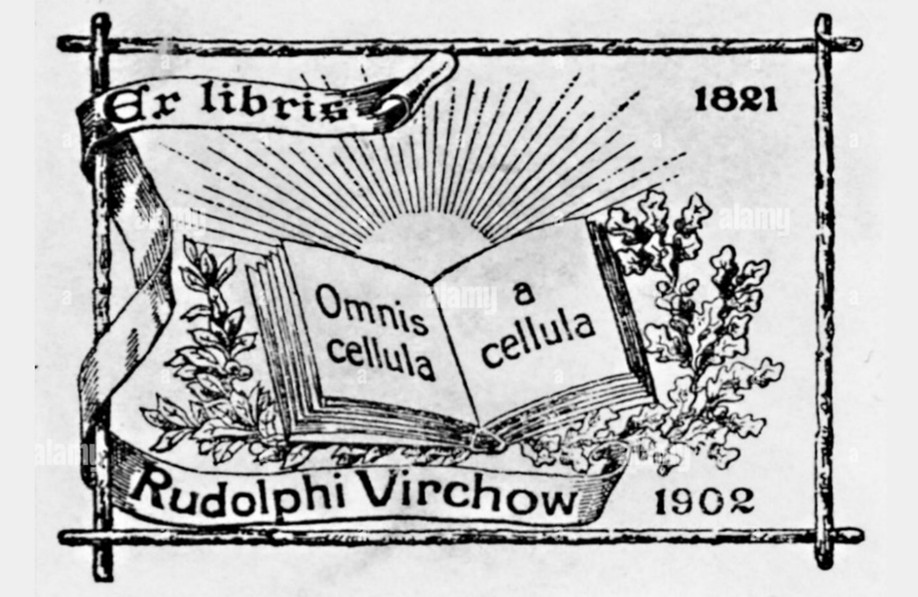 Virchow creó teoría revolucionaria de la organización de tejidos con base en la célula