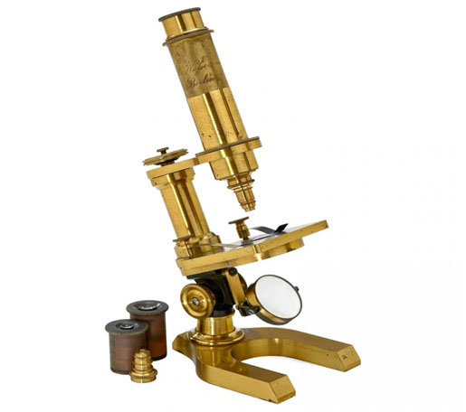 El microscopio: componentes y complementos