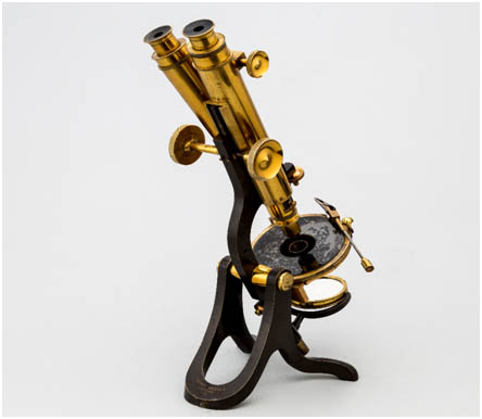 crouch binocular microscope-4
